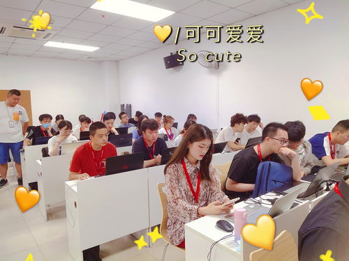 杭州黑馬前端HTML/JS基礎(chǔ)31期正式開班，攜手技術(shù)社區(qū)共啟編程新程